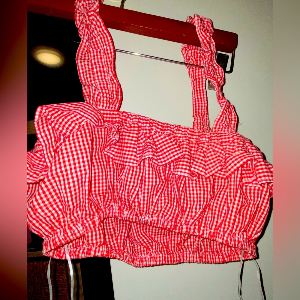 Forever 21 Cute Red Gingham Crop Top